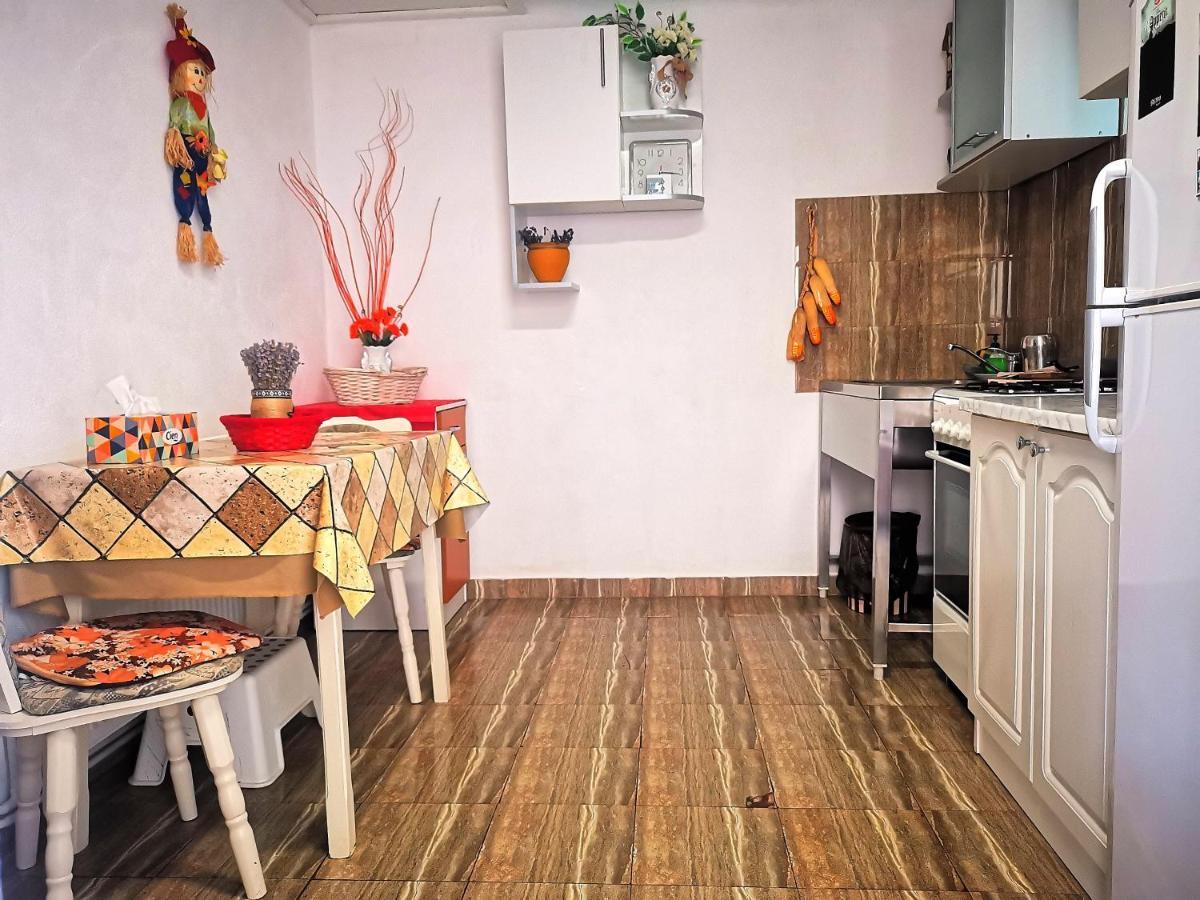 Casa Petrescu Villa Curtea de Argeş Buitenkant foto