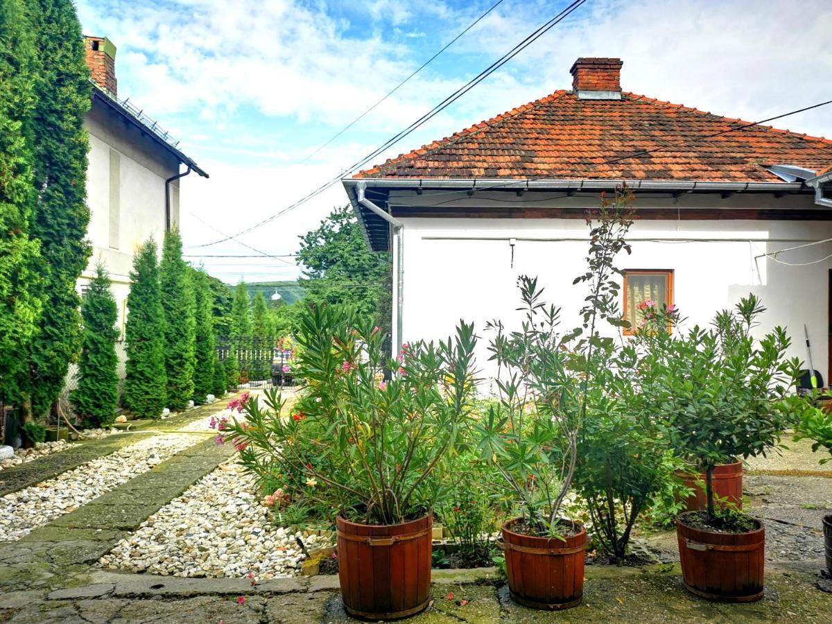 Casa Petrescu Villa Curtea de Argeş Buitenkant foto