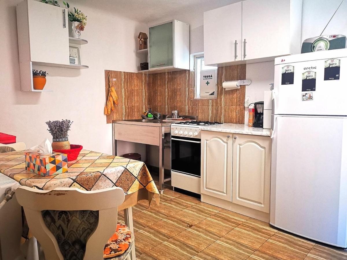 Casa Petrescu Villa Curtea de Argeş Buitenkant foto